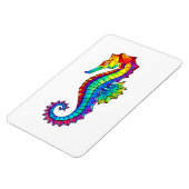 Regenboog Vlakke Zeepaard Magneet (Linkerzijde)