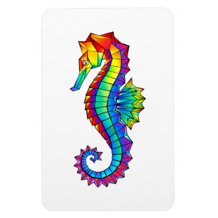 Regenboog Vlakke Zeepaard Magneet