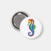 Regenboog Vlakke Zeepaard Magneet (Voorkant / Achterkant)