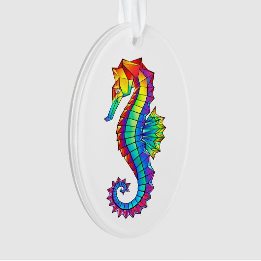 Regenboog Vlakke Zeepaard Ornament (voorkant)