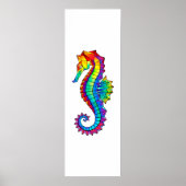 Regenboog Vlakke Zeepaard Poster (Voorkant)