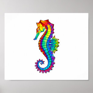 Regenboog Vlakke Zeepaard Poster
