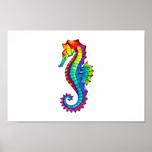 Regenboog Vlakke Zeepaard Poster (Voorkant)