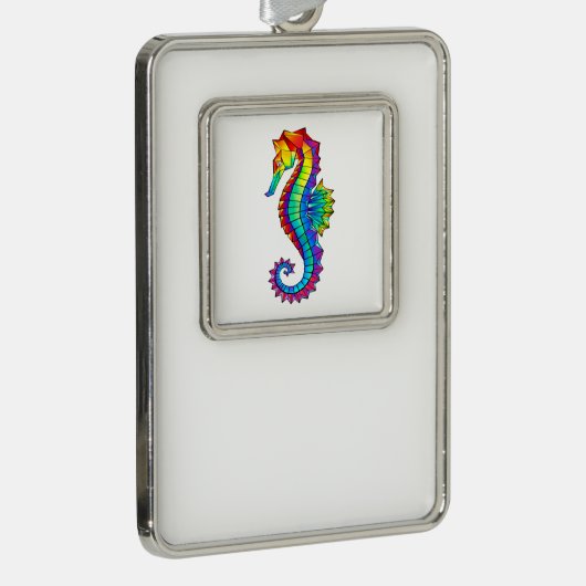 Regenboog Vlakke Zeepaard Verzilverd Omlijst Ornament (Rechts)