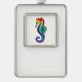 Regenboog Vlakke Zeepaard Verzilverd Omlijst Ornament (Voorkant)