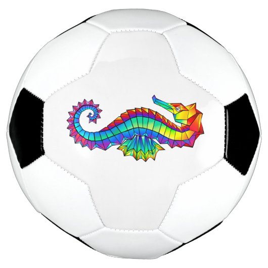Regenboog Vlakke Zeepaard Voetbal (Gedraaid)