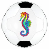 Regenboog Vlakke Zeepaard Voetbal (Voorkant)