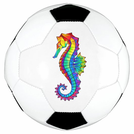 Regenboog Vlakke Zeepaard Voetbal (Voorkant)