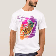 Regenboog vliegvislokmiddel Retro zonsondergang