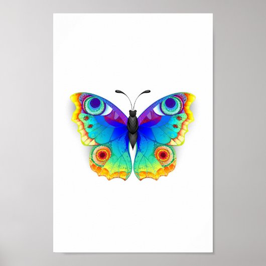 Regenboog Vlinder Pauwenoog Poster (Voorkant)