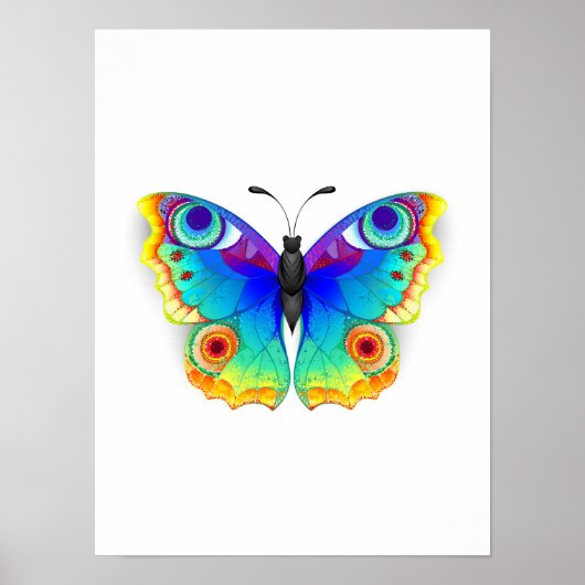 Regenboog Vlinder Pauwenoog Poster (Voorkant)
