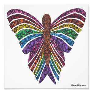 Regenboog Vlinder (wit) - Foto Print Afdruk