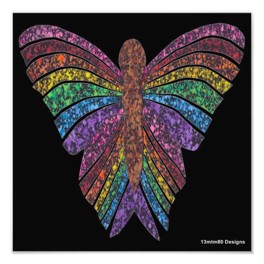 Regenboog Vlinder (zwart) - Foto Print Afdruk (Voorkant)