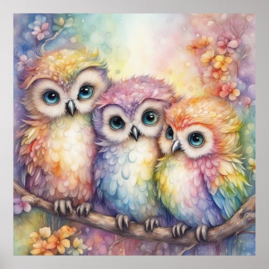 Regenboog Vogels Uilen 1 Poster (Voorkant)