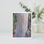 Regenboogachtige eucalyptusboom briefkaart (Staand voorkant)