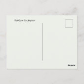 Regenboogachtige eucalyptusboom briefkaart (Achterkant)