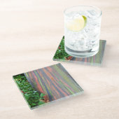 Regenboogachtige eucalyptusboom glazen onderzetter (Schuin)