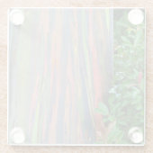 Regenboogachtige eucalyptusboom glazen onderzetter (Achterkant)