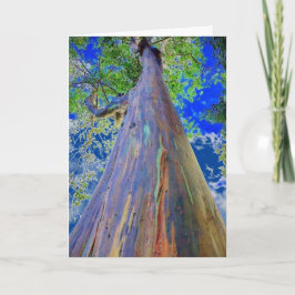 Regenboogachtige eucalyptusboom kaart