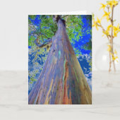 Regenboogachtige eucalyptusboom kaart (Gele Bloem)