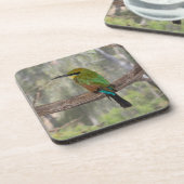 Regenboogbijeneter, Australië Bier Onderzetter (Linkerzijde)