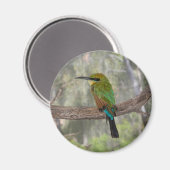 Regenboogbijeneter, Australië Magneet (Voorkant / Achterkant)