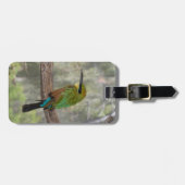 Regenboogbijeneter vogel, Australië Bagagelabel (Voorkant horizontaal)