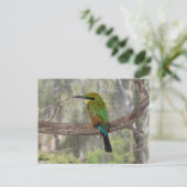 Regenboogbijeneter vogel, Australië Briefkaart (Staand voorkant)