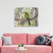 Regenboogbijeneter vogel, Australië Canvas Afdruk (Insitu (Woonkamer))