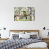 Regenboogbijeneter vogel, Australië Canvas Afdruk (Insitu (Slaapkamer))
