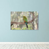 Regenboogbijeneter vogel, Australië Canvas Afdruk (Insitu (Houten vloer))