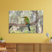 Regenboogbijeneter vogel, Australië Canvas Afdruk (Insitu (Woonkamer))
