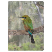 Regenboogbijeneter vogel, Australië Klembord (Achterkant)