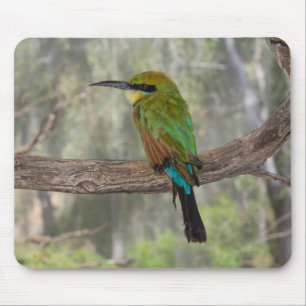 Regenboogbijeneter vogel, Australië Muismat