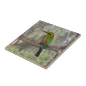 Regenboogbijeneter vogel, Australië Tegeltje (Zijkant)