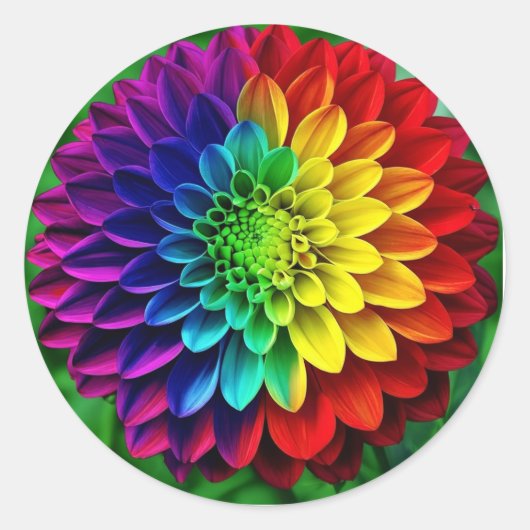 Regenboogbloem - Kleurrijke Dahlia Ronde Sticker (Voorkant)