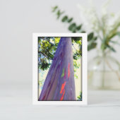 Regenboogboom Briefkaart (Staand voorkant)