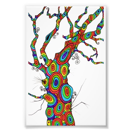 Regenboogboom - kleurige fotografische afdruk (Voorkant)