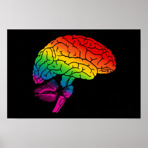 Regenboogbrain Poster