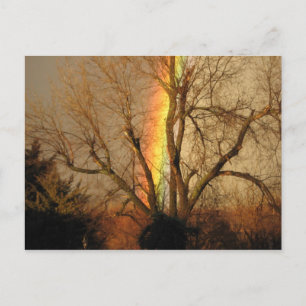RegenboogBriefkaart Briefkaart