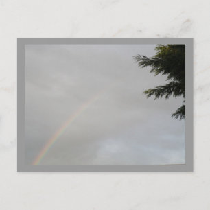 RegenboogBriefkaart Briefkaart