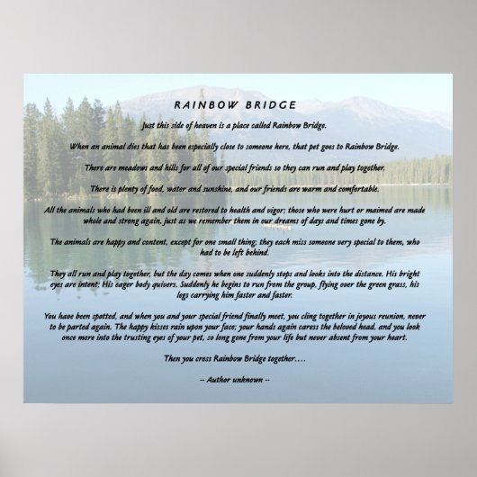 Regenboogbrug 2 poster (Voorkant)