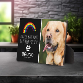 Regenboogbrug | Aandenken aan huisdierherdenking Fotoplaat