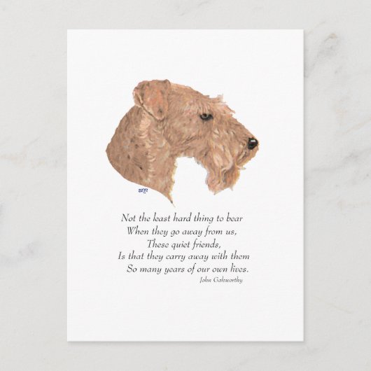 Regenboogbrug Briefkaart (Voorkant)