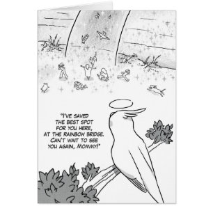 Regenboogbrug, cockatielpapegaai