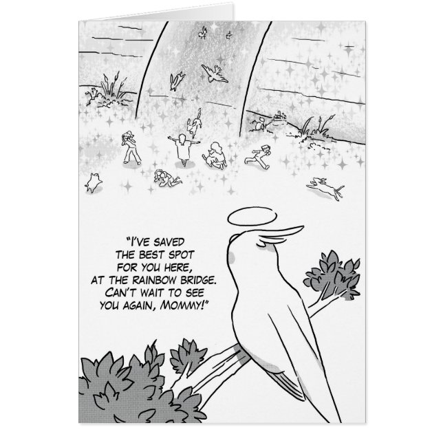 Regenboogbrug, cockatielpapegaai (Voorkant)