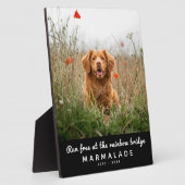 Regenboogbrug Foto Huisdierherdenking Fotoplaat (Zijkant)