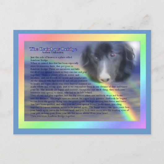 Regenboogbrug Gedicht Dierenverlies Sympathie Briefkaart (Voorkant)