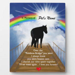 Regenboogbrug Herdenkingsgedicht voor Paarden Fotoplaat