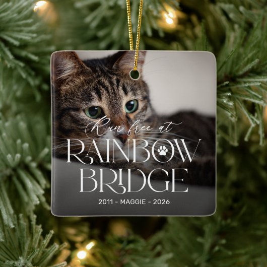 Regenboogbrug Kat Herdenkings Kerst Ornament (Boom)